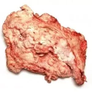 Beef body fat