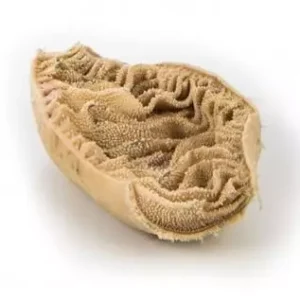 Beef Omasum