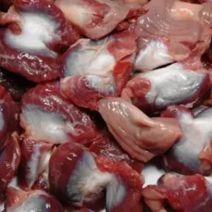 Chicken Gizzard