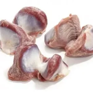 Turkey Gizzard